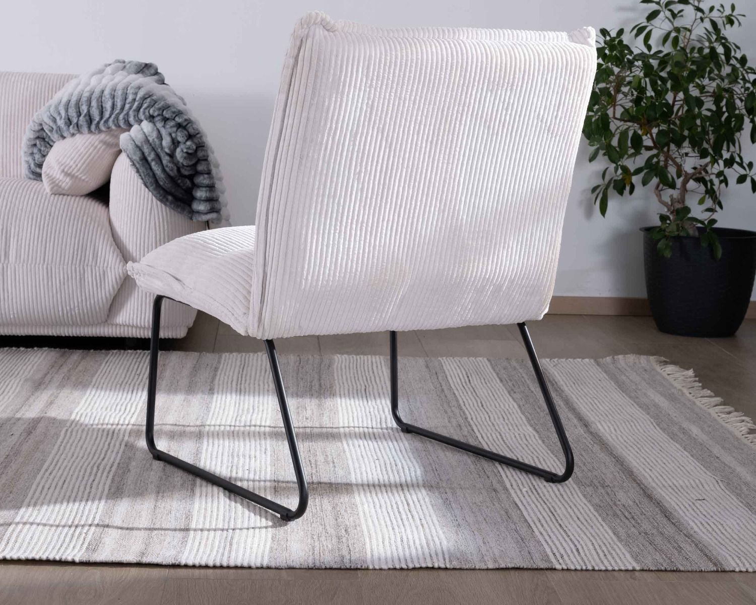 Set di 2 poltrone "Calvin" in velluto a coste bianche senza braccioli, gambe in metallo