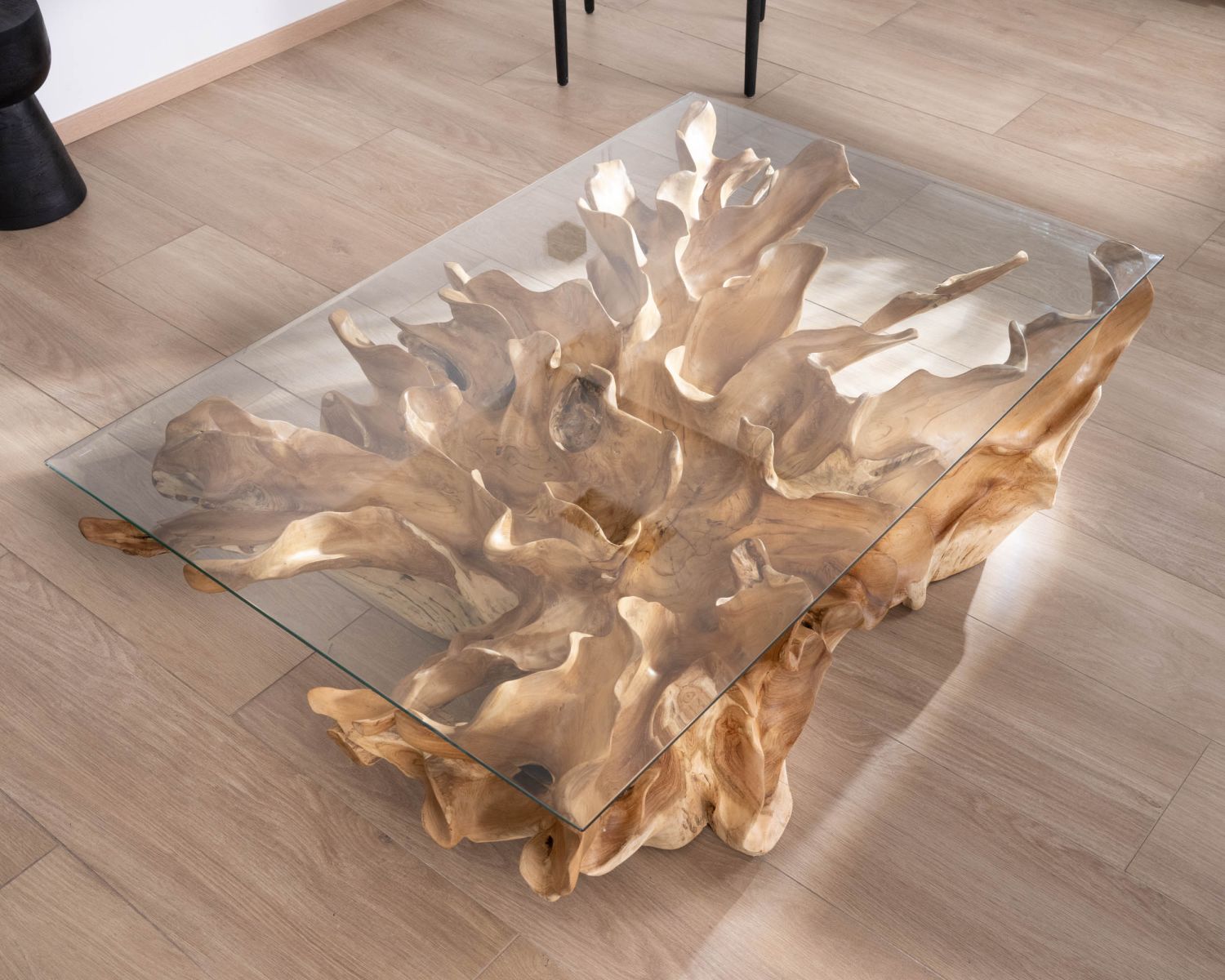 Tavolino "Jungle" in radice di teak naturale con piano rettangolare in vetro