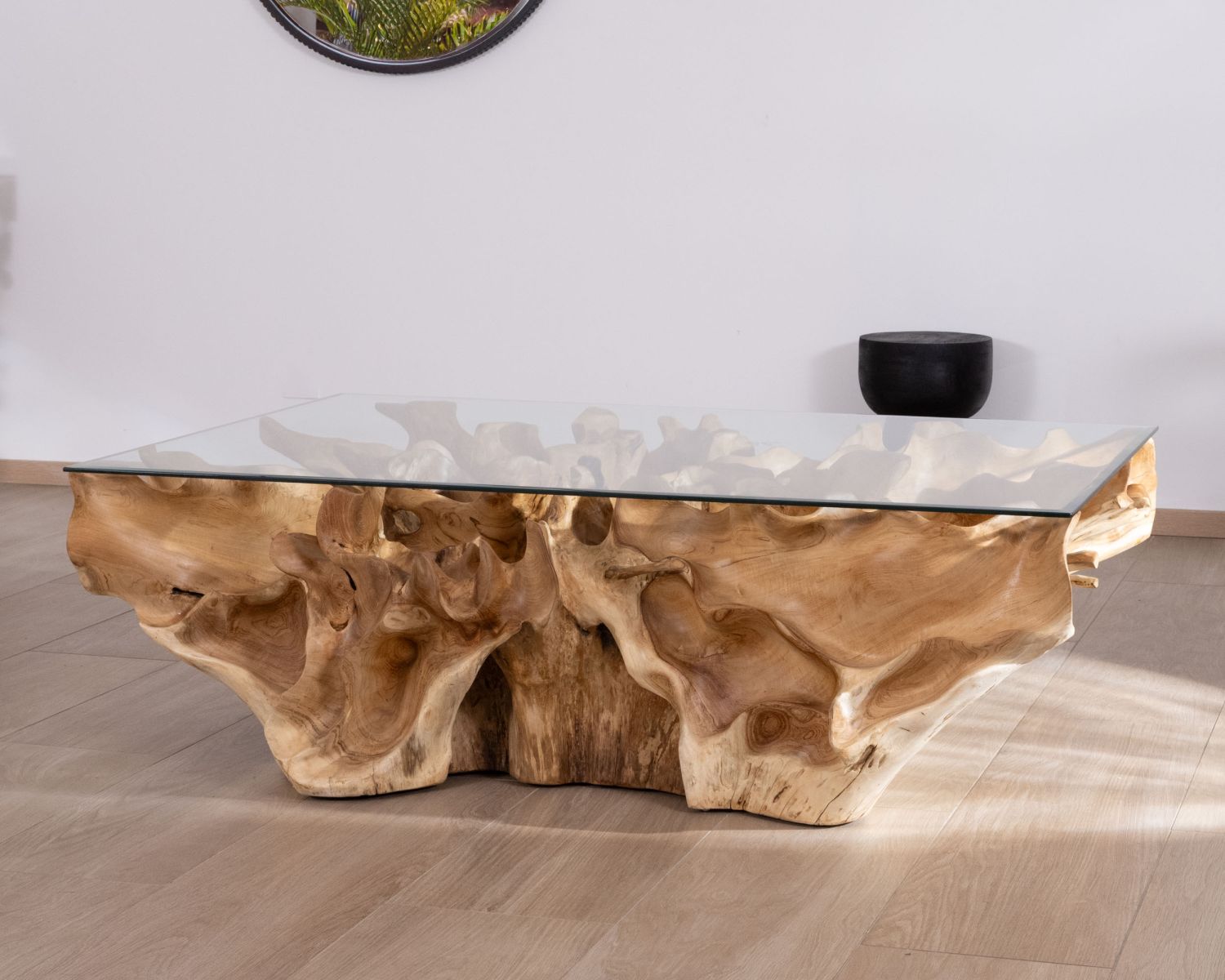 Tavolino "Jungle" in radice di teak naturale con piano rettangolare in vetro