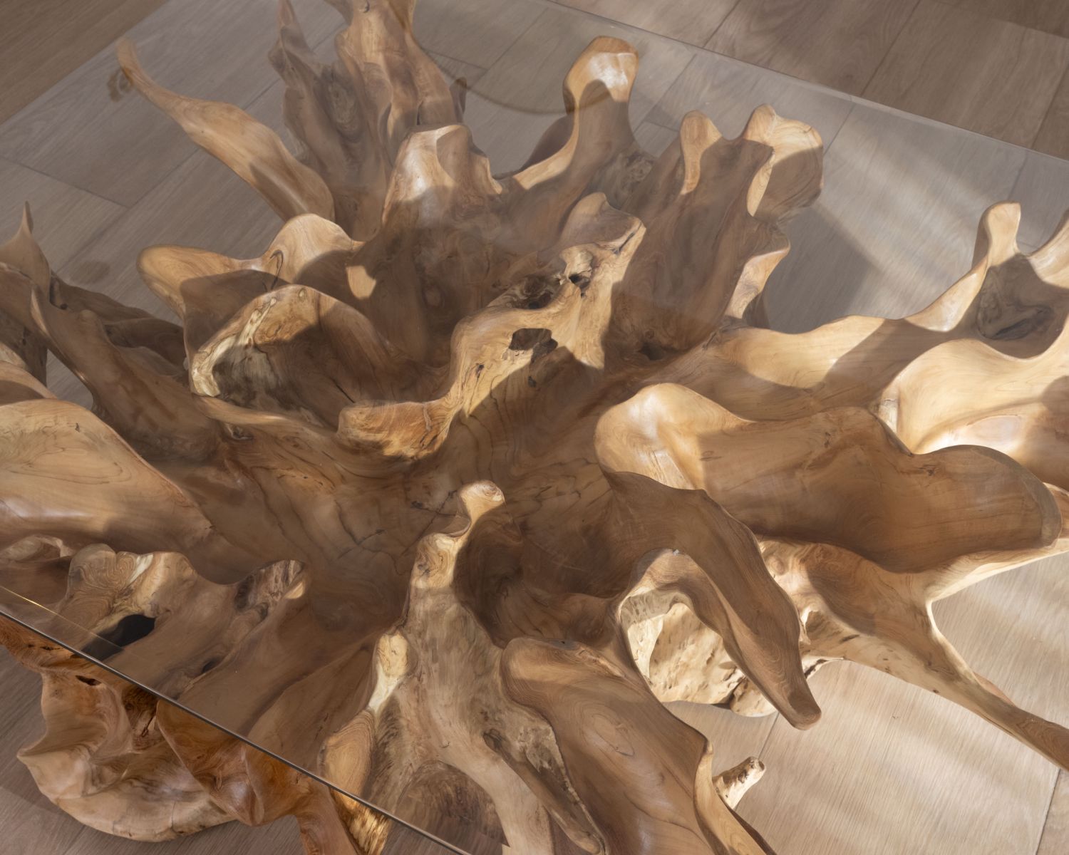 Tavolino "Jungle" in radice di teak naturale con piano rettangolare in vetro