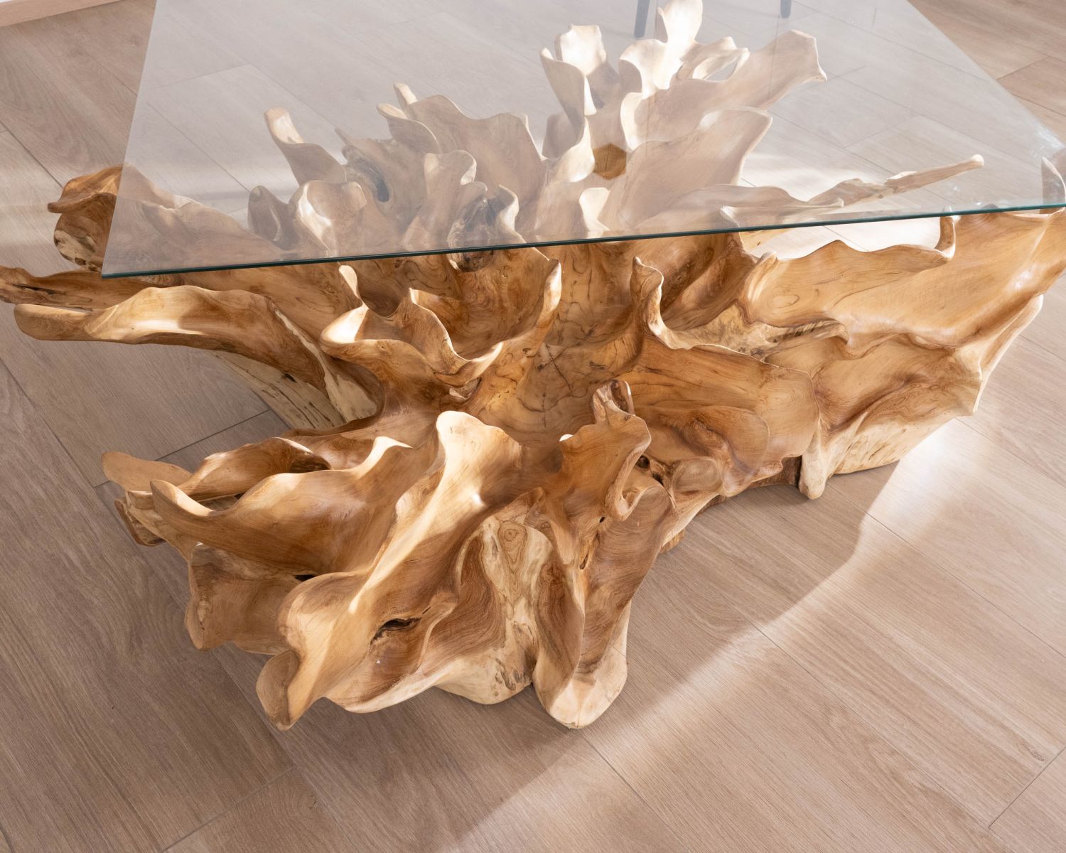 Tavolino "Jungle" in radice di teak naturale con piano rettangolare in vetro