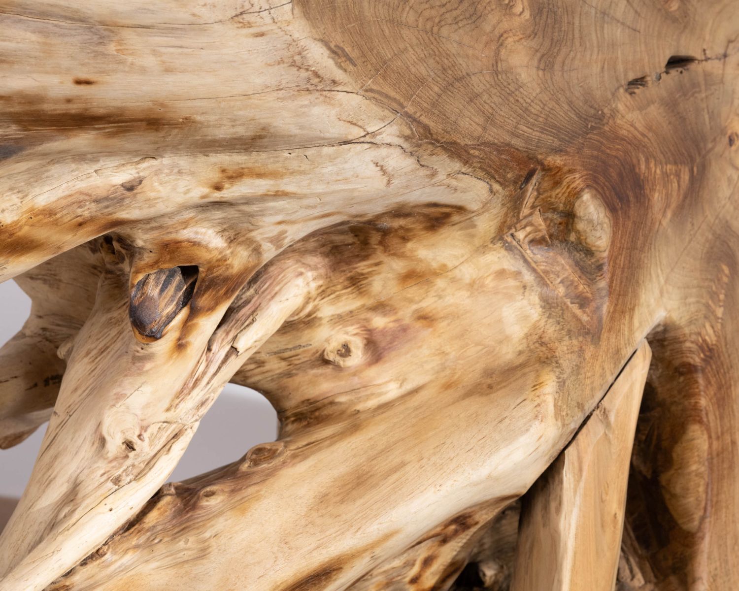 Consolle con radice in teak naturale e piano in vetro "Jungle