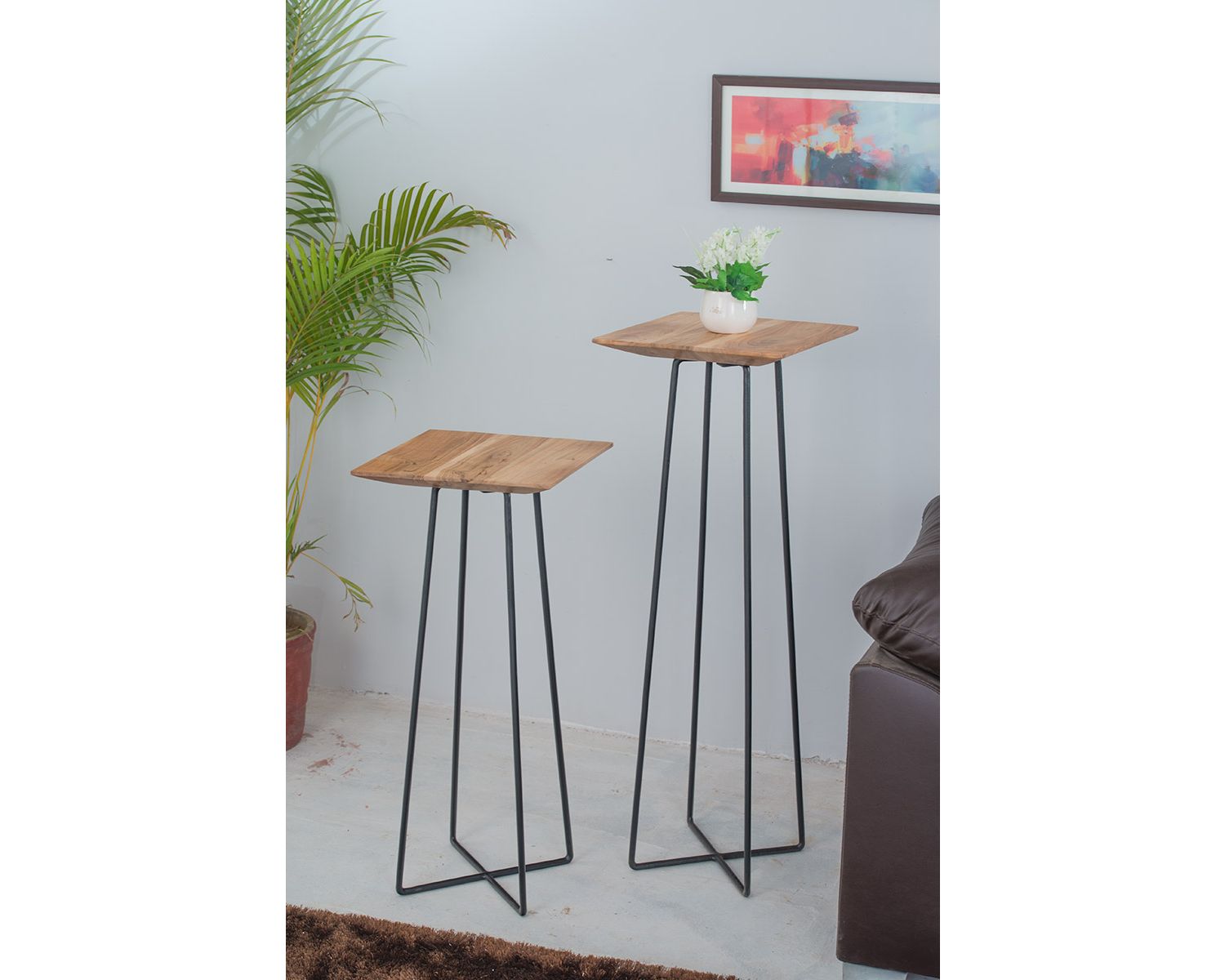 Set di 2 imbracature "Plants" in metallo e legno nero, 80 e 100 cm